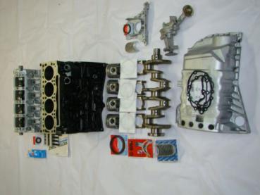 MOTOR SUZUKI GRAND VITARA 1.9 DDiS F9Q ÜBERHOLT 95KW GARANTIE!!!