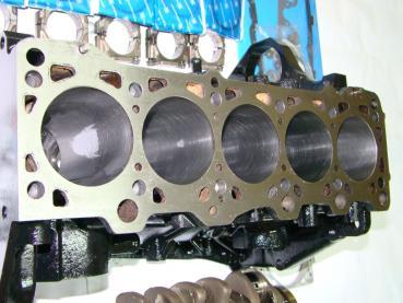 MOTOR VW T5 2.0 TDI BiTURBO CFC CFCB CFCC ÜBERHOLT, GARANTIE TOP ANGEBOT !!